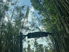 -海南热带野生动植物园