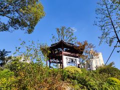 -和平公园