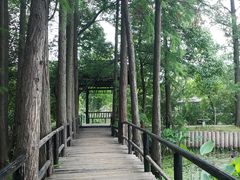 -东湖落雁景区