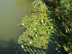 -苏州太湖国家湿地公园