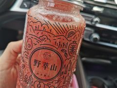 -野萃山·潮汕厚果汁(十亩地店)
