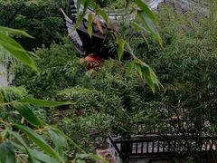 -南山风景名胜区