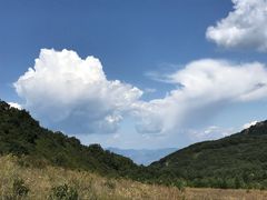 -白草畔自然风景区