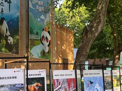 -西安电影制片厂