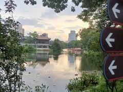 -荔湾湖公园
