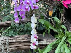 -石家庄市植物园