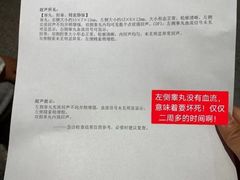 -河南省人民医院(院本部)
