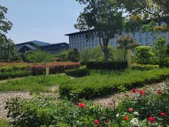 -连云港金陵海州湾会议中心