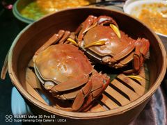 清蒸大闸蟹-蟹榭·本帮江浙菜·蟹宴(五角场合生汇商场店)
