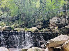-洛阳花果山景区