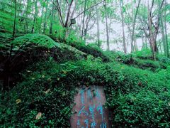 -峨眉山报国寺