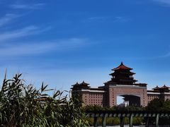 -莲花池公园
