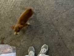 -麦尚心甜(北金鹰店)