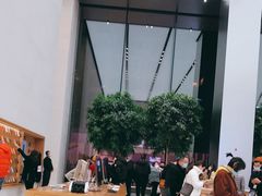 -Apple零售店(苏州店)