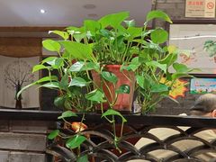 -临潼印象·特色陕菜