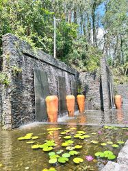 -爱丽馨御景月子中心