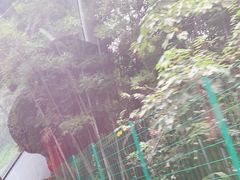 -红山村