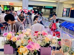 -红星美凯龙北京至尊MALL(东四环中路店)