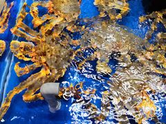 -盒马鲜生(龙德广场店)