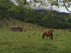 -硗碛藏寨·神木垒景区