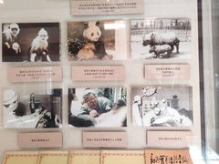 -北京动物园-畅观楼