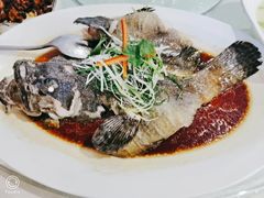 清蒸青斑鱼-陆壹捌餐厅(五大道店)