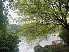 -荔湾湖公园