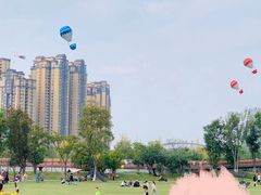 -府河摄影公园