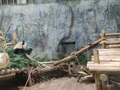 -深圳野生动物园