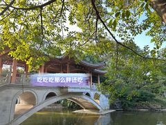 -柳侯公园