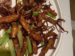 -同喜烤鸭店(光芒店)