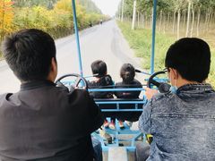 -西青郊野公园