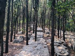 -云龙山