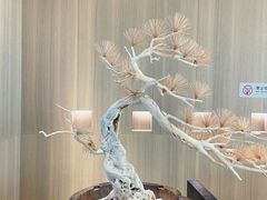 -阿嬷手作(南宁亭江步步高店)