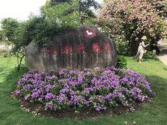 -鹅湖玫瑰文化园