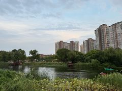 -新江湾城公园