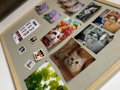 -柯达靓之彩影像网络(明瓦廊店)