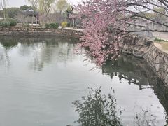 -无锡蠡湖国家湿地公园-蠡园