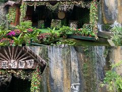 -西双版纳原始森林公园