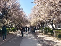 -山东师范大学(千佛山校区)