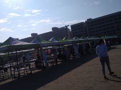 -漳州城市职业学院
