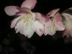 -荆川公园