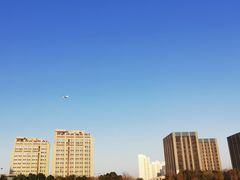 -南翔镇银翔湖公园