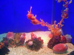 -常州海昌海洋探索馆