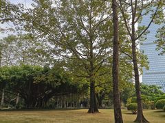 -南宁南湖公园