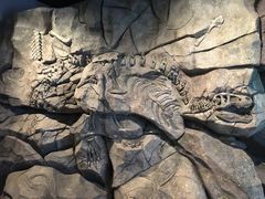 -正佳自然科学博物馆