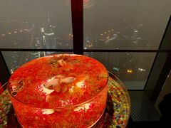 -上海环球金融中心云端足球盛典