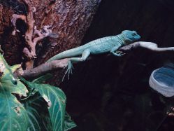 -酷嗒动物文化乐园(cutezoo西溪乐天城店)