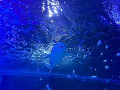 -常州海昌海洋探索馆