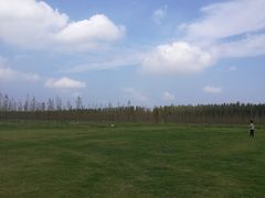 -黄海国家森林公园